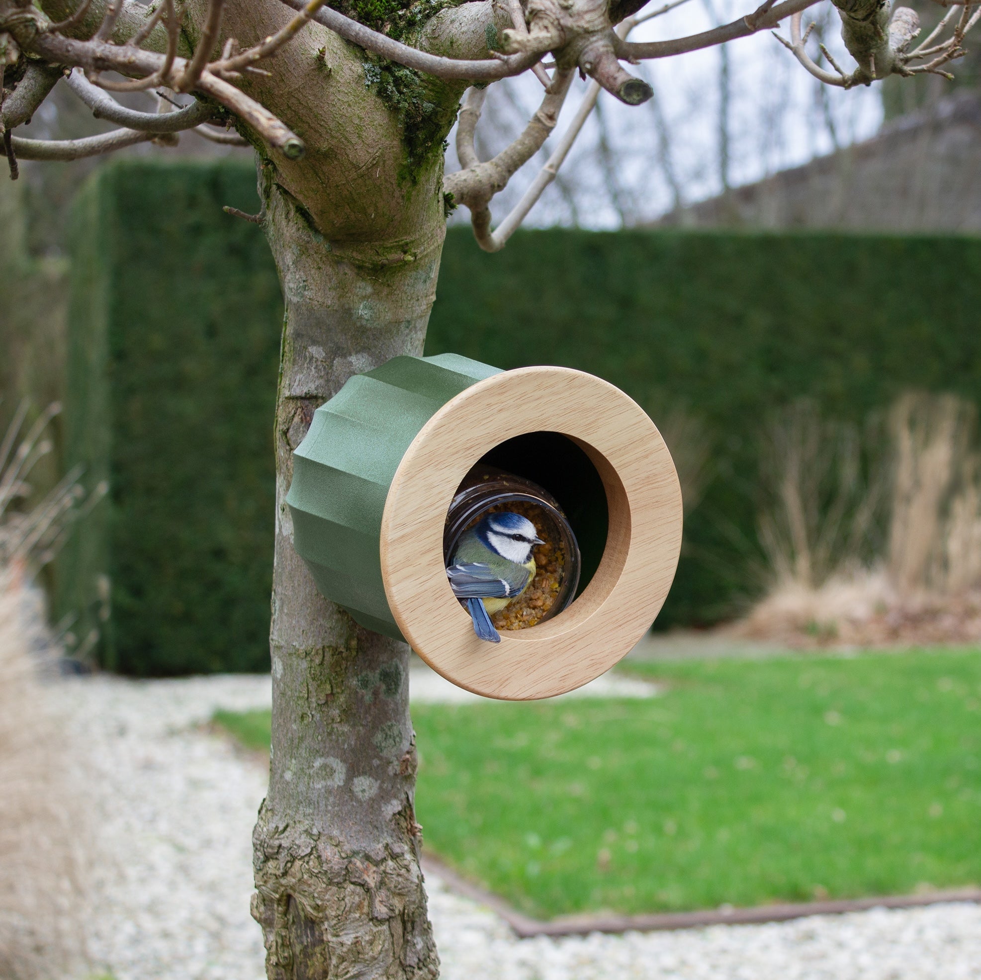 Reuzenrad Vogelvoeder - Patio Vogelvoederbak | Kolibrievoeders voor