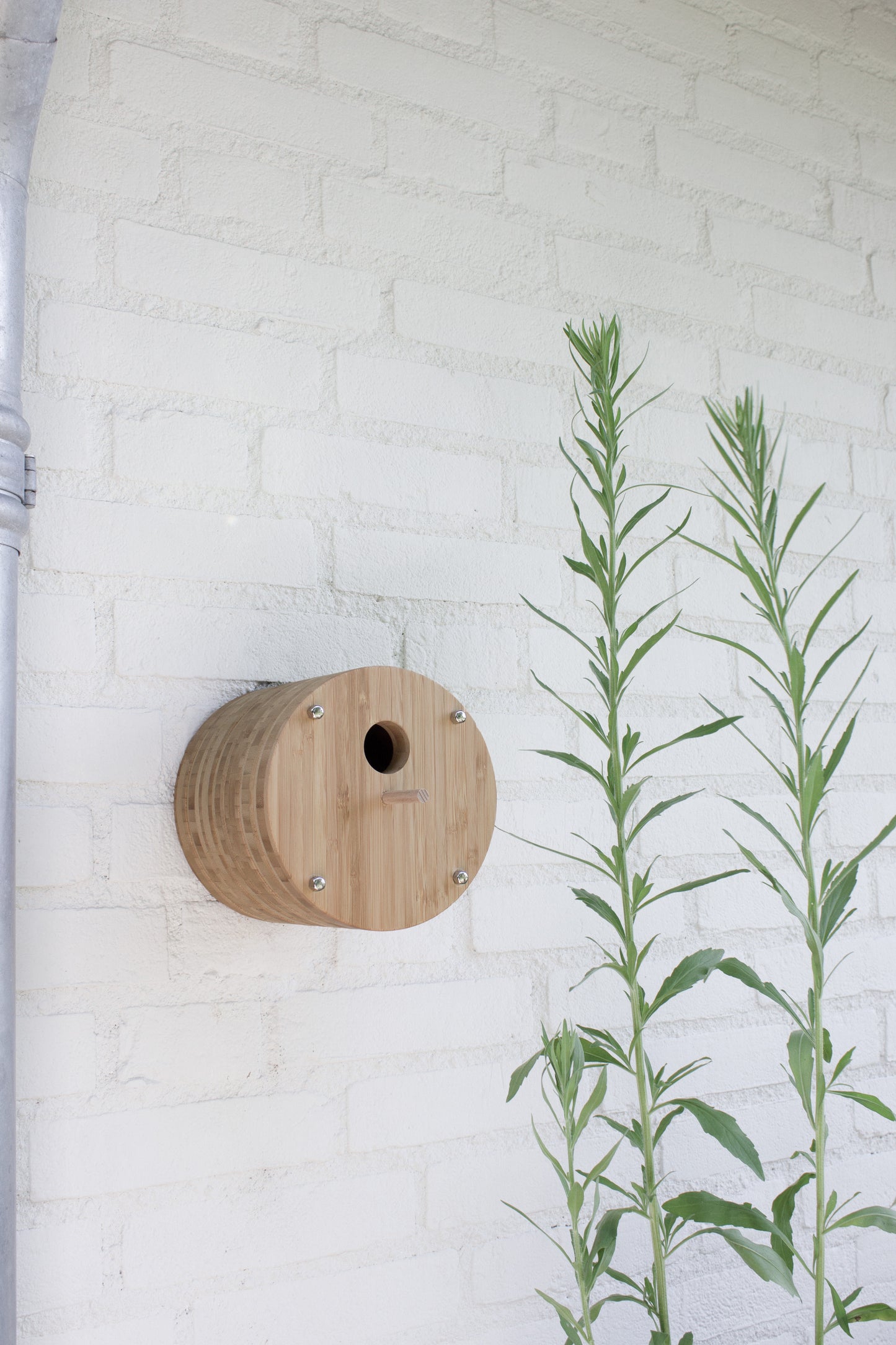 Vogelhuisje Fly Inn bamboe wand model