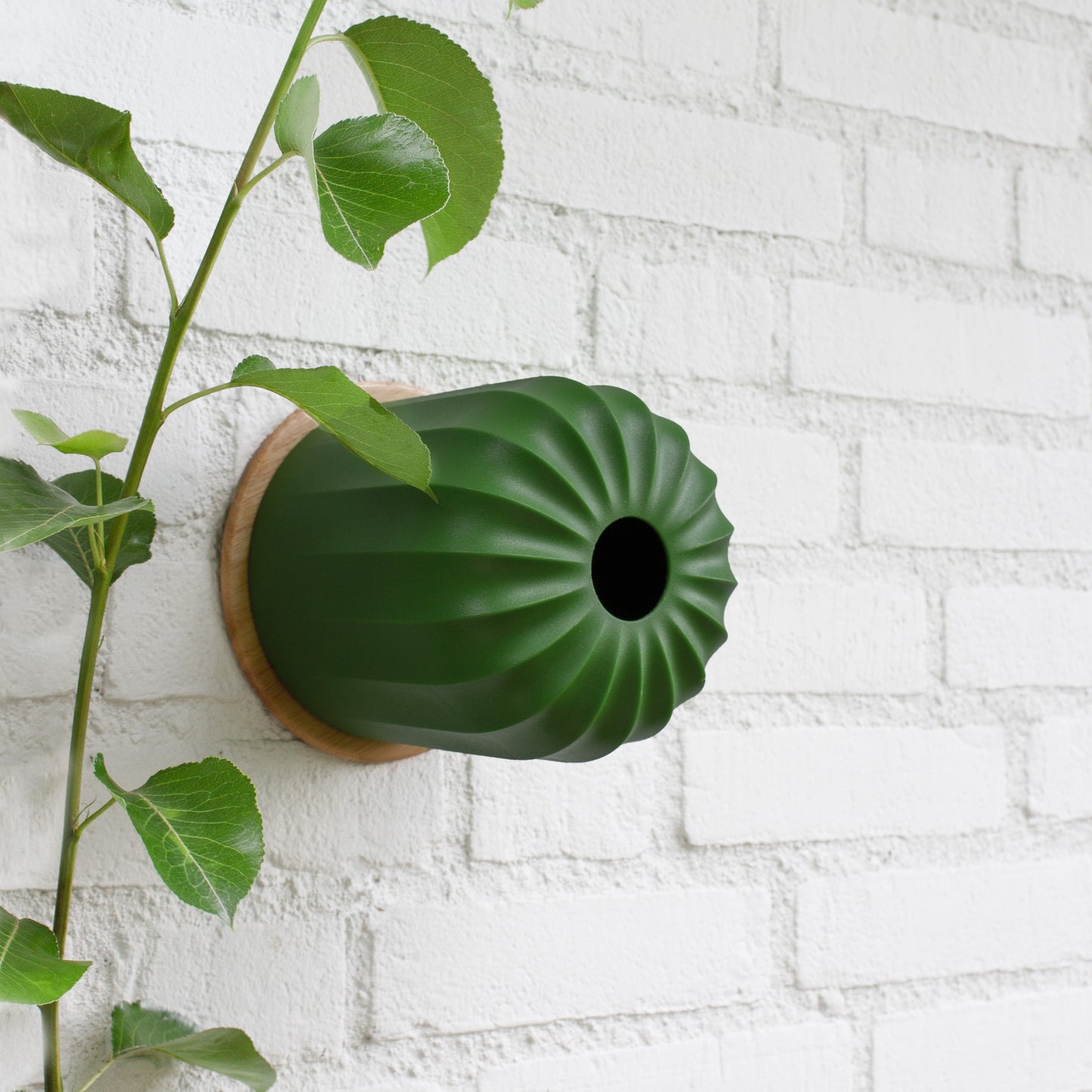 Cactus Vogelvoederhuisje Groen