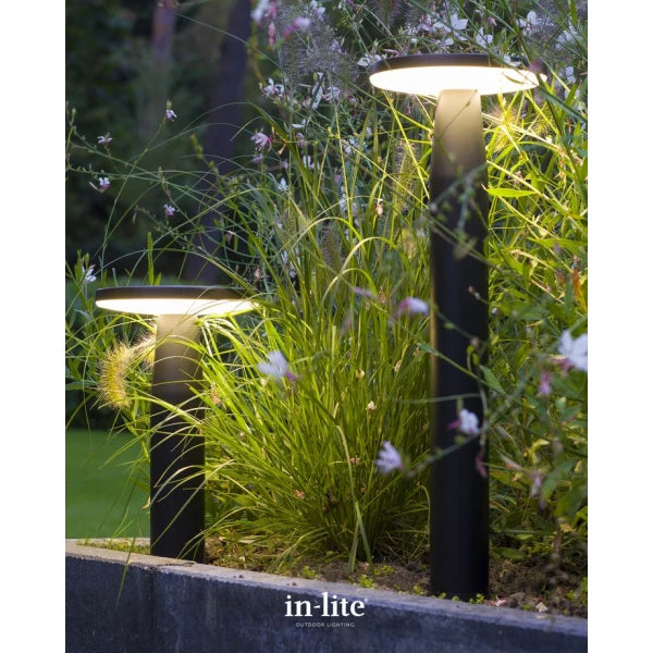 In-Lite Disc