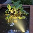 In-Lite SUB underwater 12V/3W LED Alu. ch