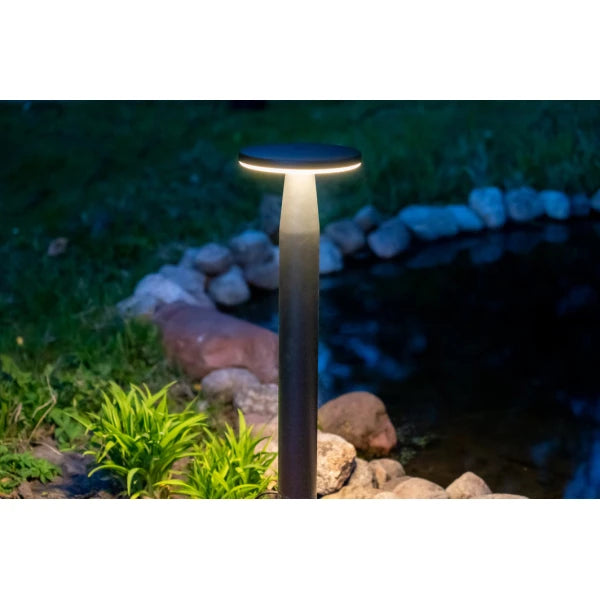 In-Lite Disc