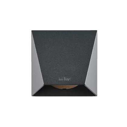 In-Lite muurspotje WEDGE /12V/1W