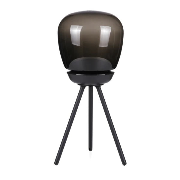 In-Lite Tripod 1