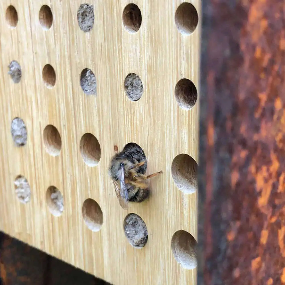 Insectenhotel Bee&Bee cortenstaal